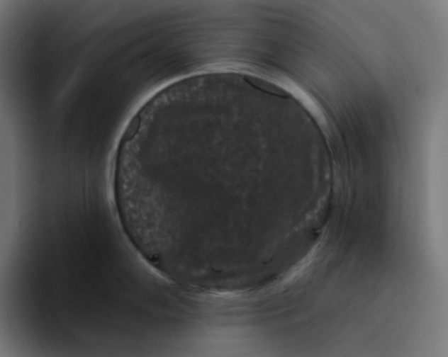 X0000094171102200711161703