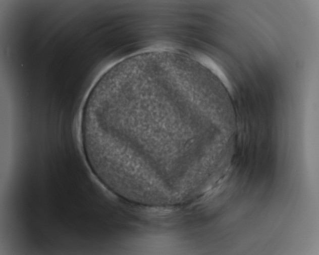 X0000094171103200711161703