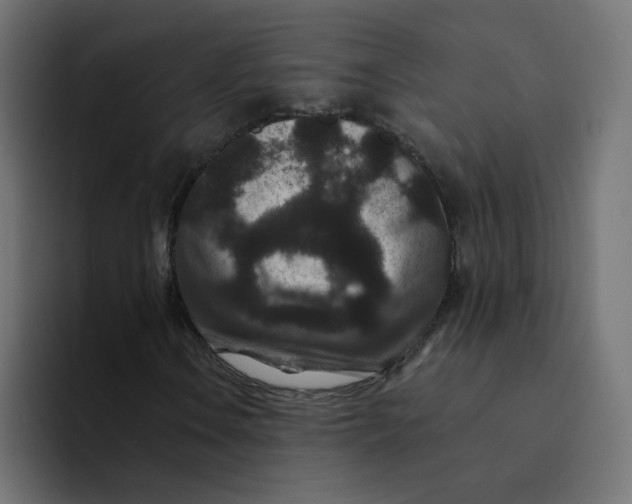 X0000094171106200711161702