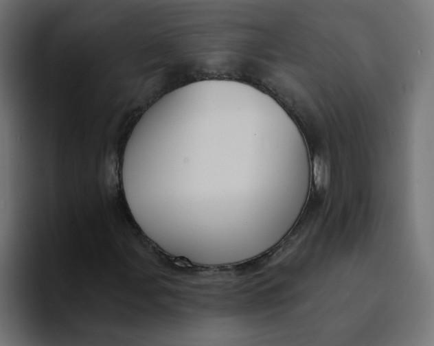 X0000094171107200711161702