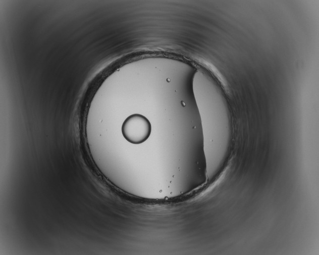 X0000094171114200711161702