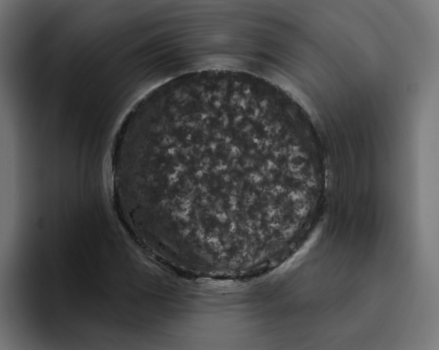 X0000094171117200711161702