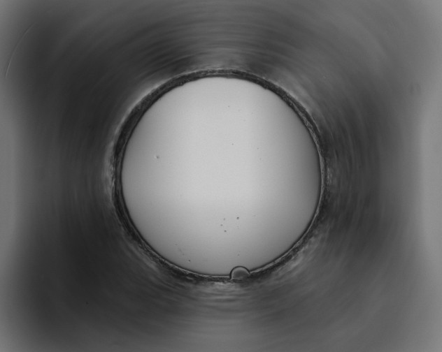 X0000094171119200711161702