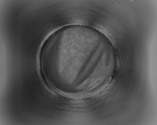 X0000094171120200711161702