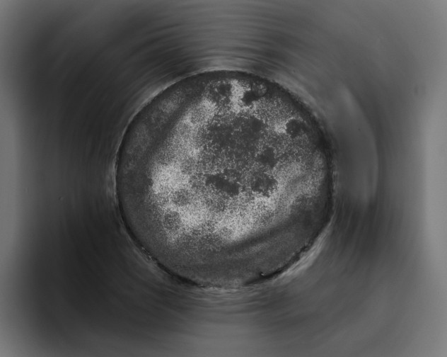 X0000094171121200711161702