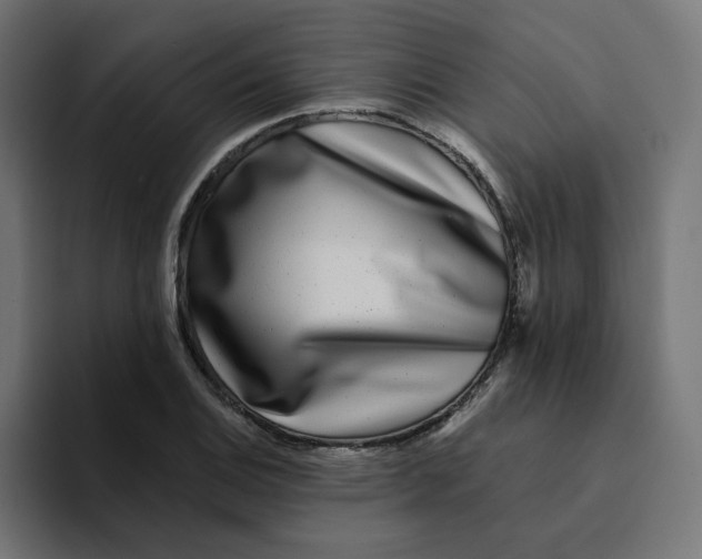 X0000094171124200711161702