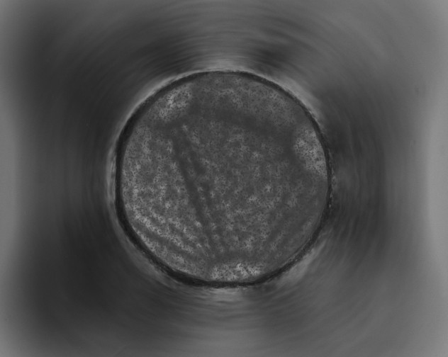 X0000094171126200711161702