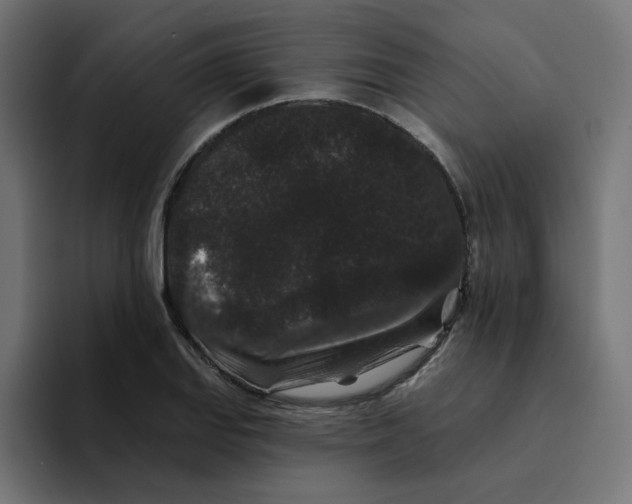 X0000094171127200711161702