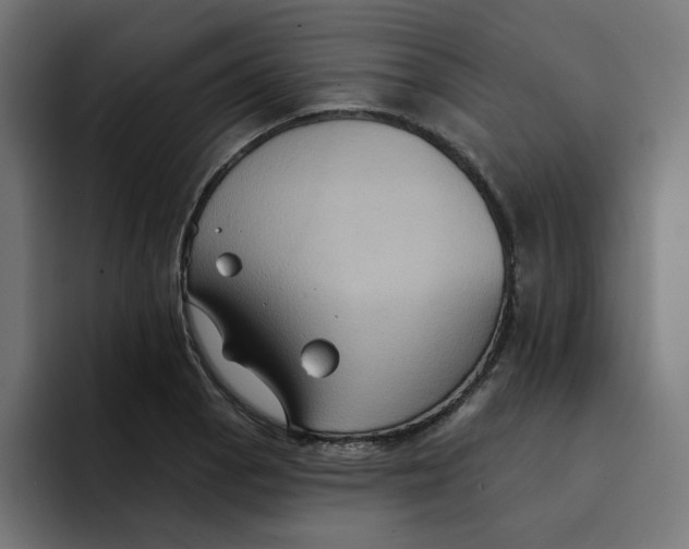 X0000094171129200711161702