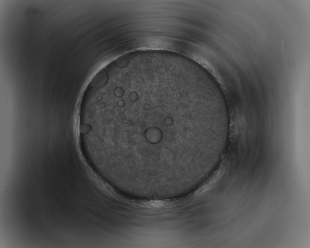 X0000094171130200711161702