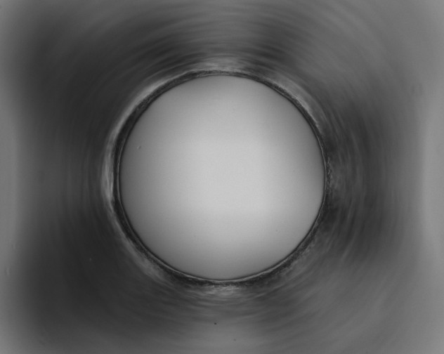 X0000094171131200711161702