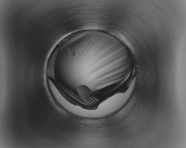 X0000094171132200711161702