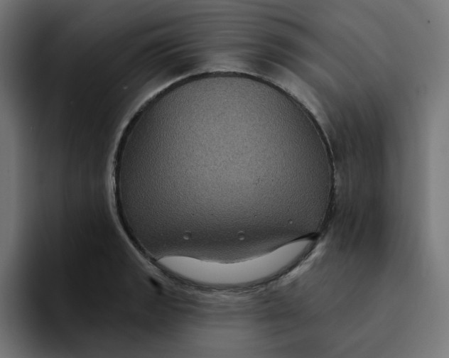 X0000094171133200711161702