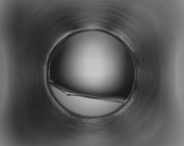 X0000094171134200711161702