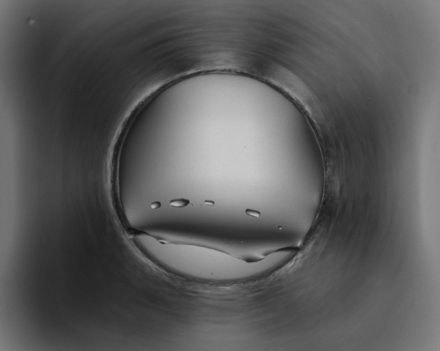 X0000094171135200711161702