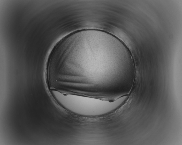 X0000094171136200711161702