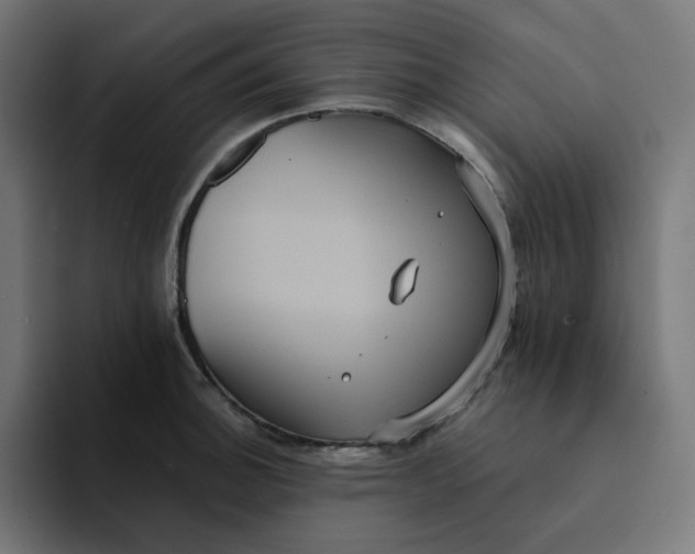 X0000094171140200711161702