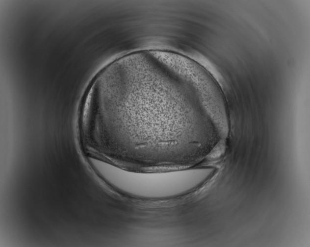 X0000094171142200711161702