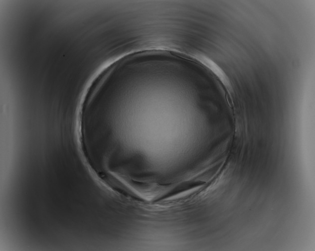 X0000094171144200711161703