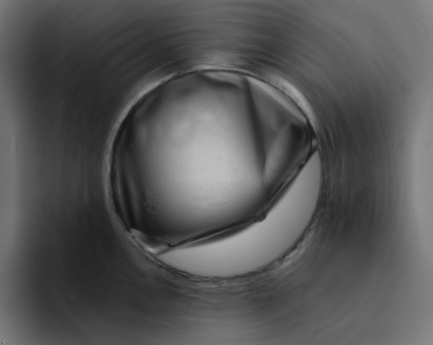 X0000094171146200711161703