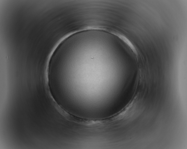 X0000094171148200711161703