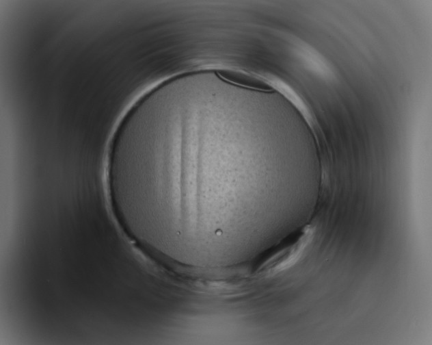 X0000094171149200711161703