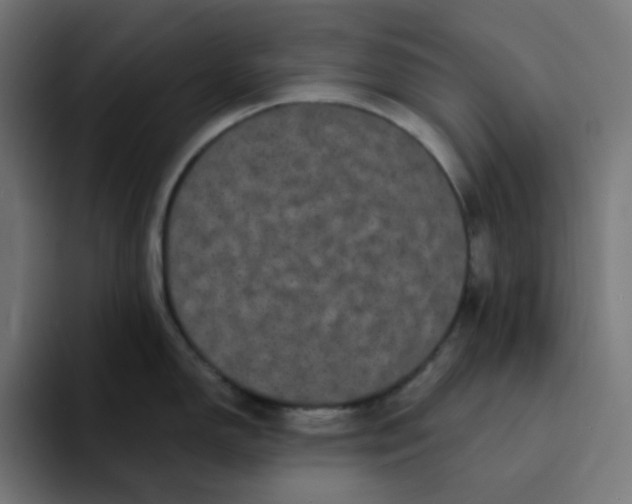 X0000094171150200711161703