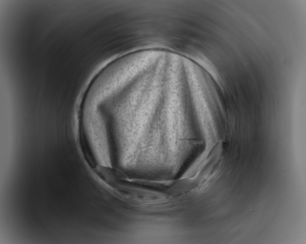 X0000094171151200711161703