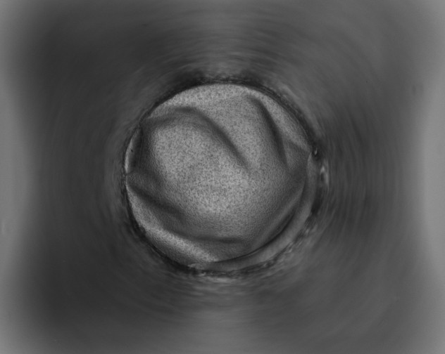 X0000094171153200711161702