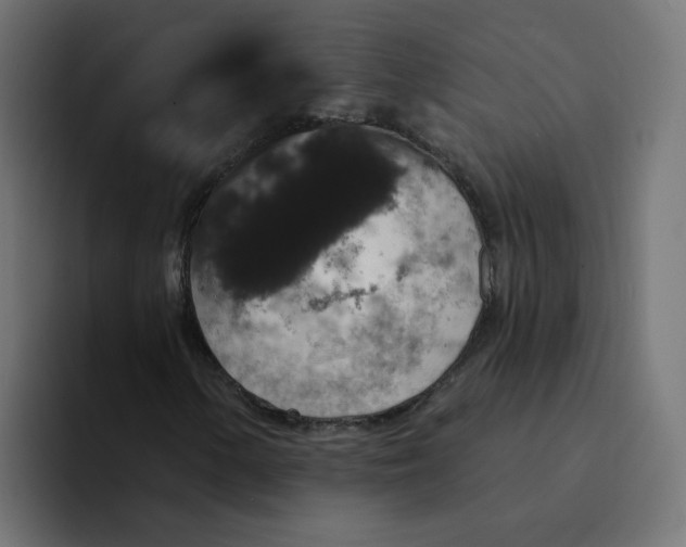 X0000094171154200711161702