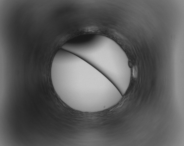 X0000094171155200711161702