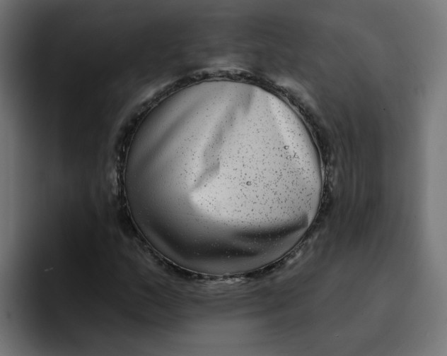 X0000094171159200711161702