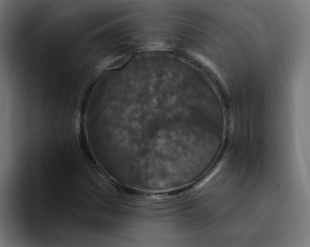 X0000094171161200711161702