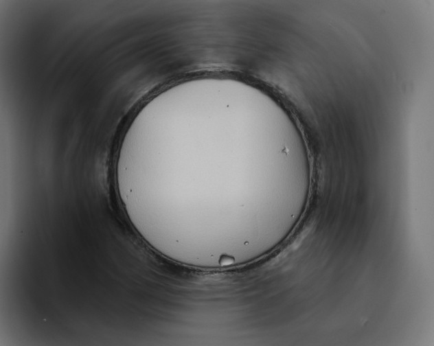 X0000094171162200711161702