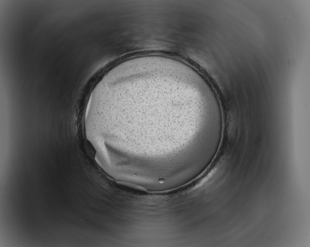 X0000094171163200711161702