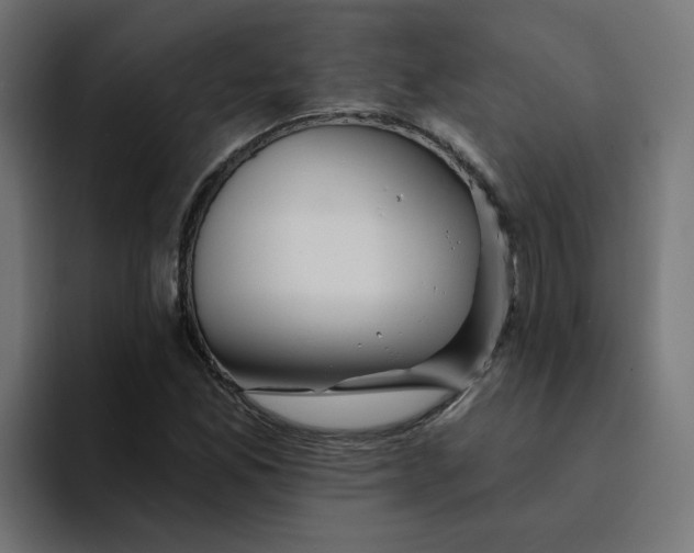 X0000094171165200711161702