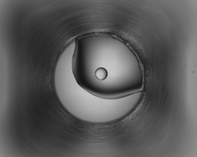 X0000094171169200711161702