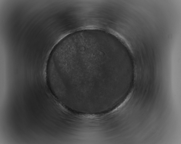 X0000094171170200711161702