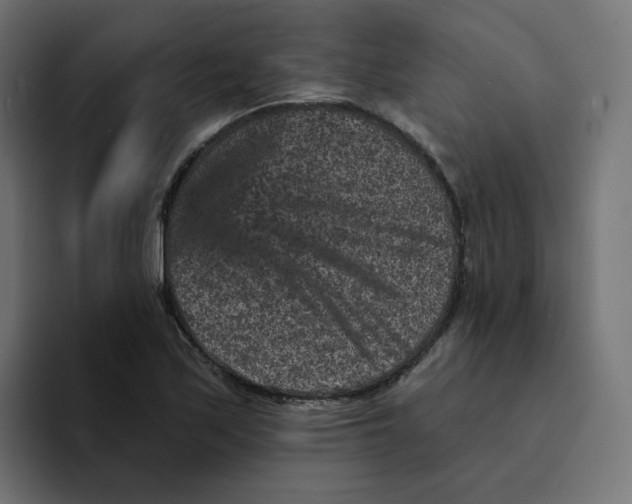 X0000094171171200711161702