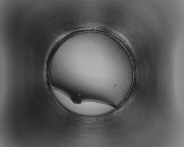 X0000094171172200711161702