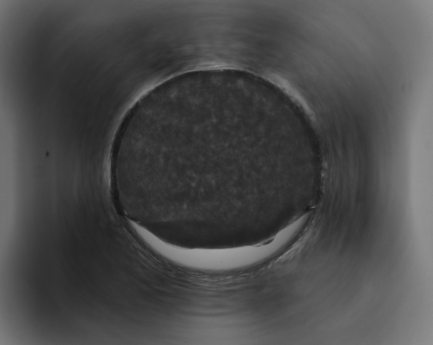 X0000094171173200711161702