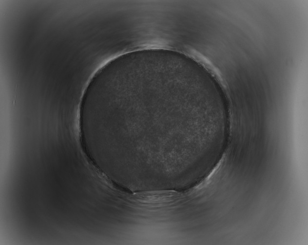 X0000094171174200711161702