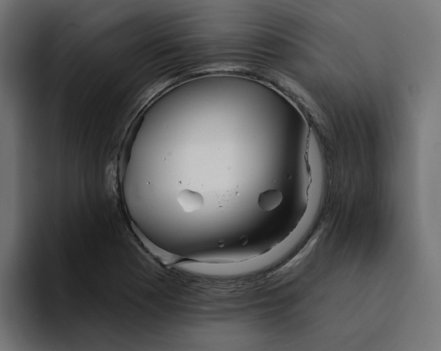 X0000094171177200711161702