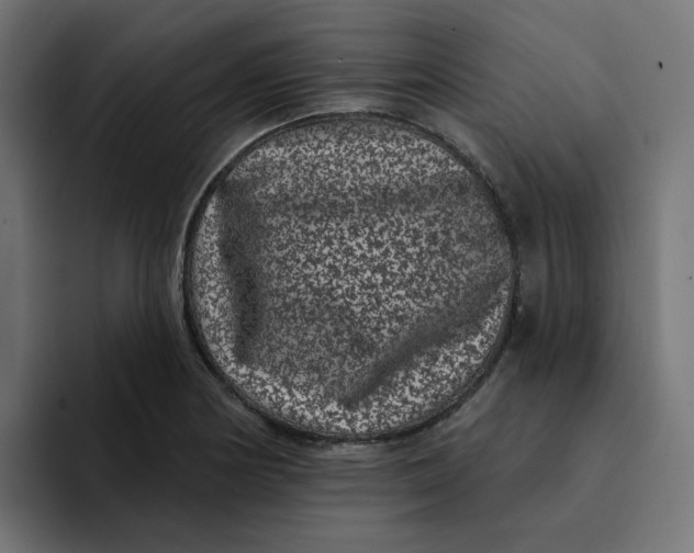 X0000094171178200711161702