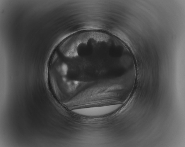 X0000094171179200711161702