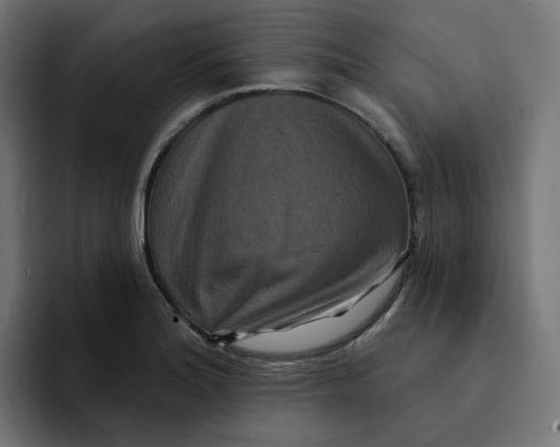 X0000094171180200711161702