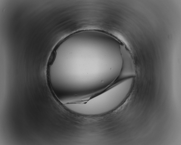 X0000094171181200711161702