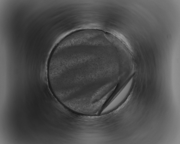 X0000094171184200711161702