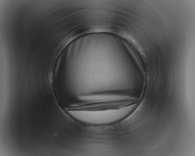 X0000094171185200711161702