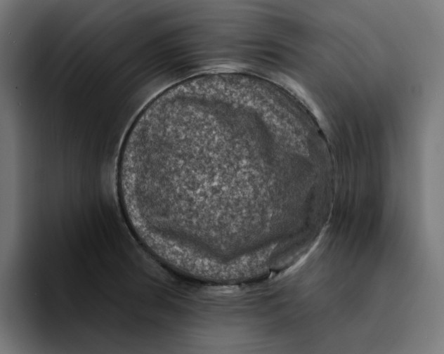 X0000094171186200711161702